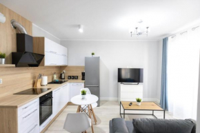 Apartament 9B Wały Chrobrego Szczecin